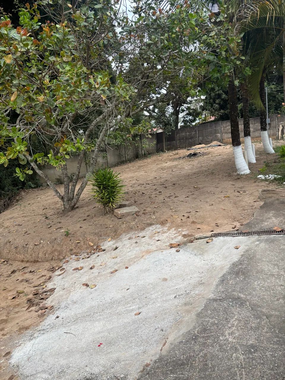 ? VENDE-SE SÍTIO EM PIRACEMA - MG - Foto 2