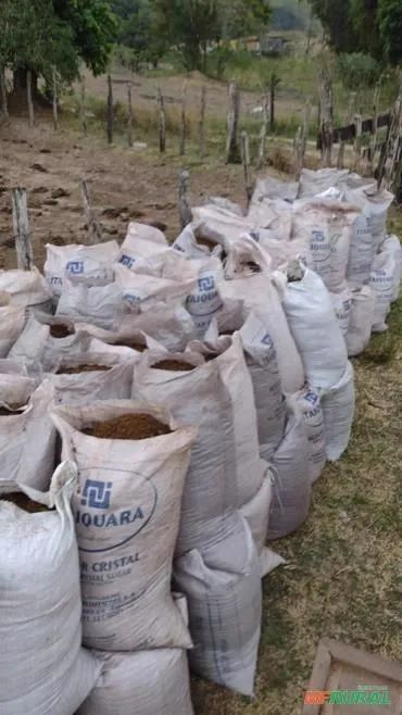 Esterco de gado puro e triturado ensacado direto da roca!? - Foto 2