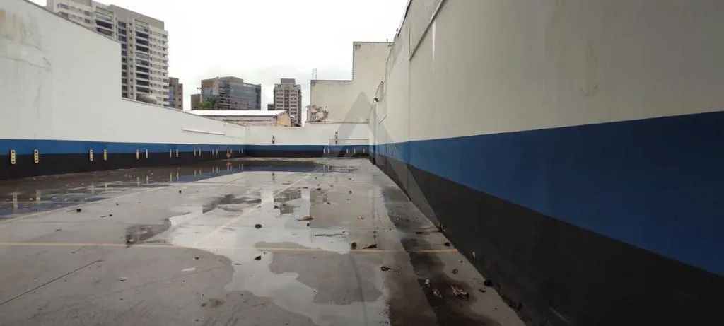 Terreno para alugar em Campinas, Cambuí, com 303 m² - Foto 3