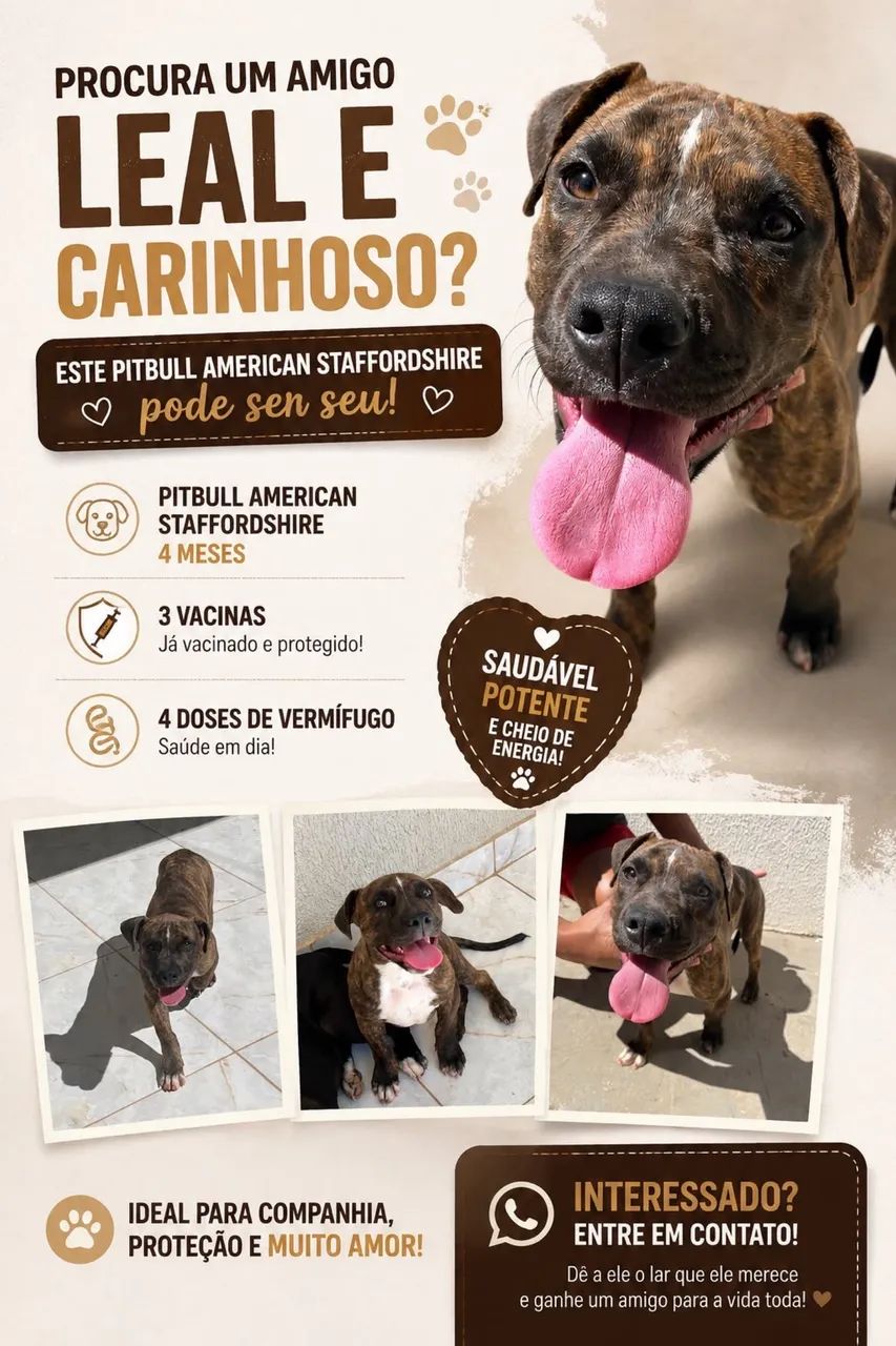 Pitbull 