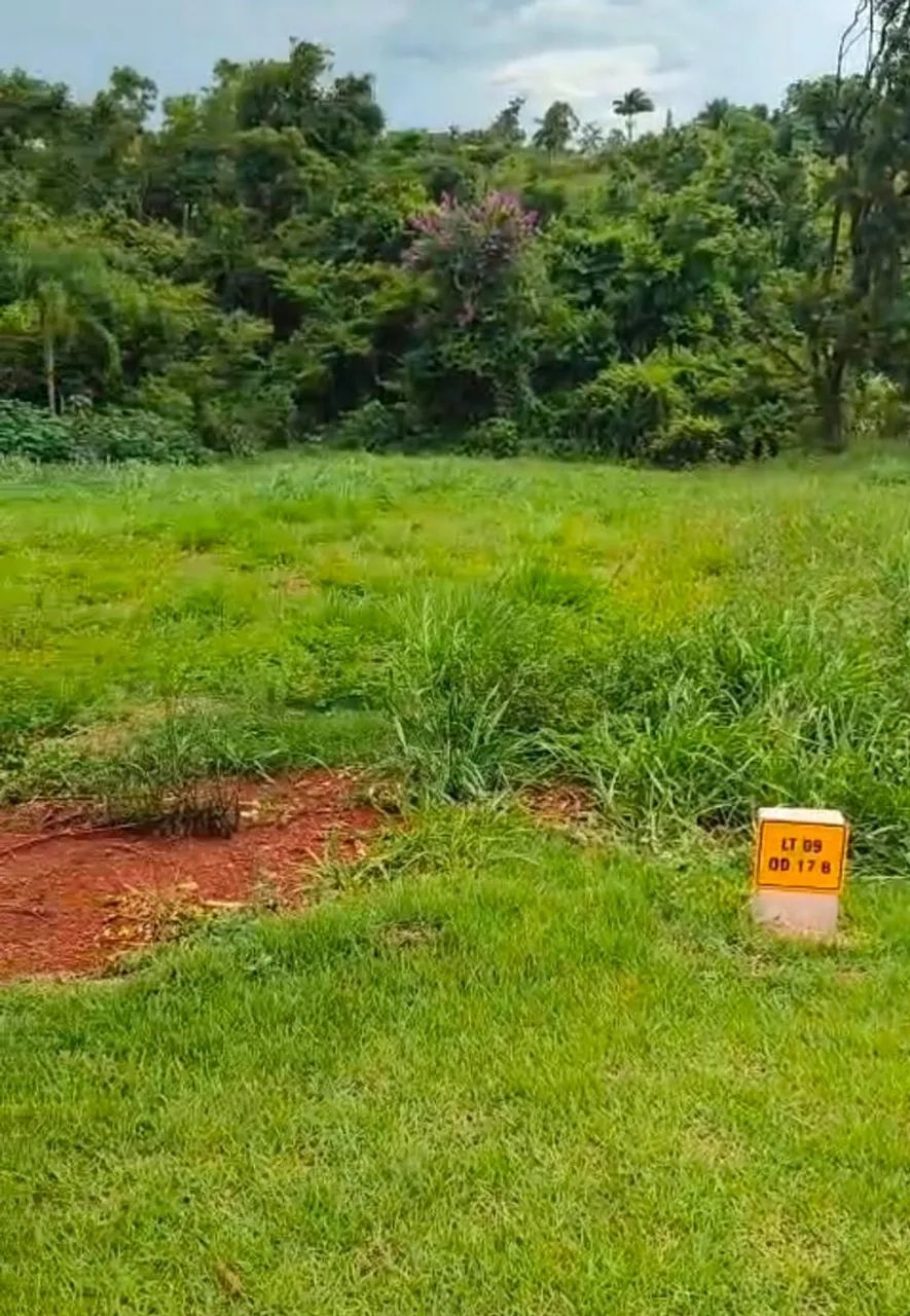 TERRENO ESTÂNCIA ZAUNA - Foto 4