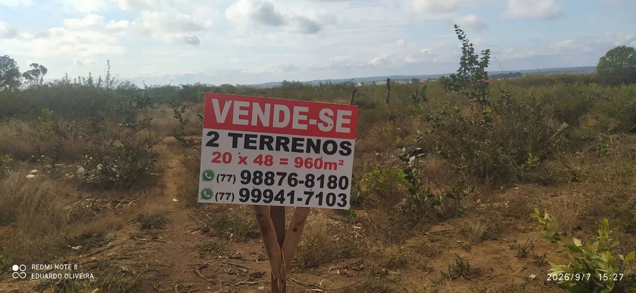 2 terrenos  - Foto 5
