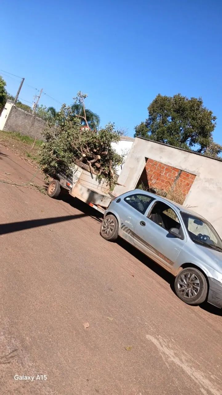 Podar de árvores e limpeza em geral Palmas é região   - Foto 4