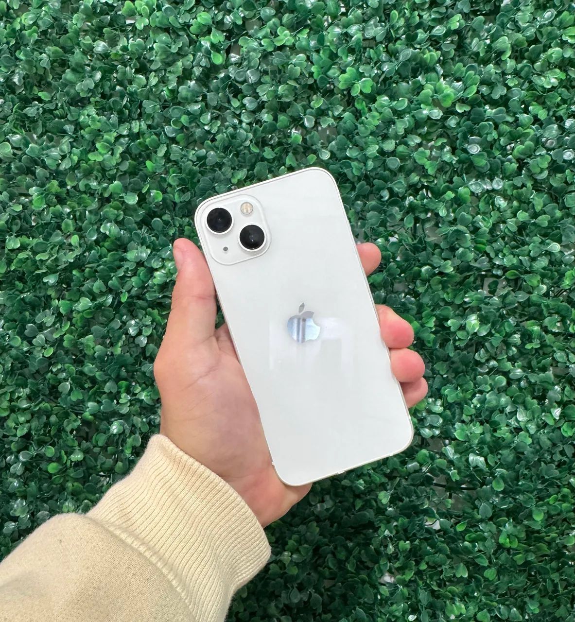 iPhone 13 - Celulares e Smartphones - Prudentópolis 1498191084 | OLX
