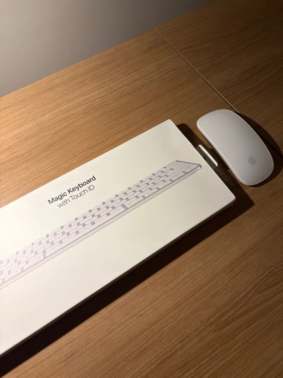 magic keyboard com touch id + magic mouse apple