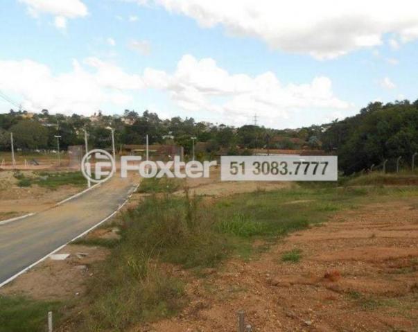 Loteamento/condomínio à venda em Morro santana, Porto alegre cod:160027 - Foto 3