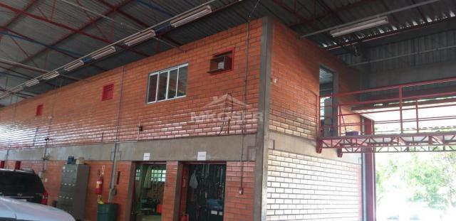 Ponto para aluguel, , itoupavazinha - blumenau/sc - Foto 6