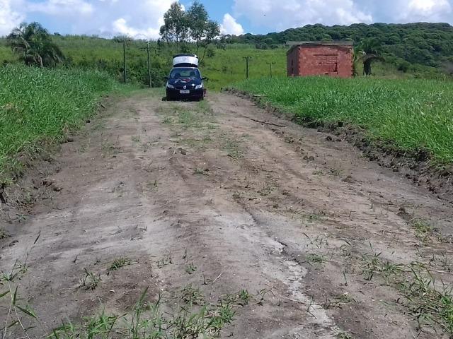 Chácara - Foto 3