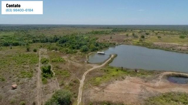 Fazenda no Tocantins - Foto 4