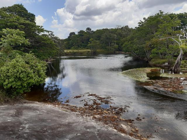 Vende-se área rural no amapá - Foto 7