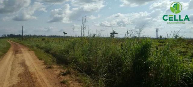 Fazenda / 1.239 ha (256 Alq.) / Tailândia / Pará - Foto 2