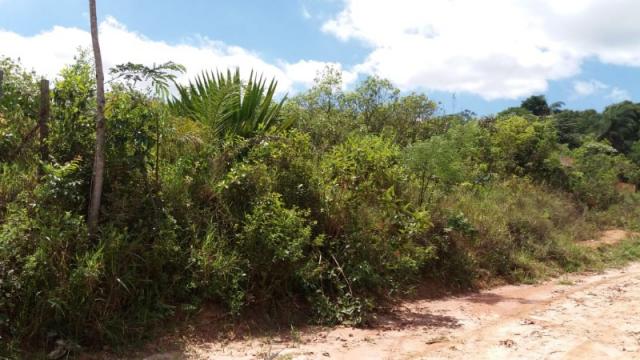 Terreno à venda em Residencial ilhéus, Juatuba cod:TE00019 - Foto 12