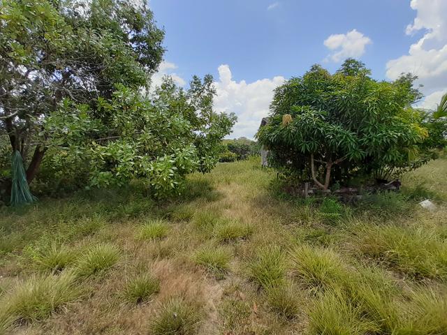 Vende-se área rural no amapá - Foto 6