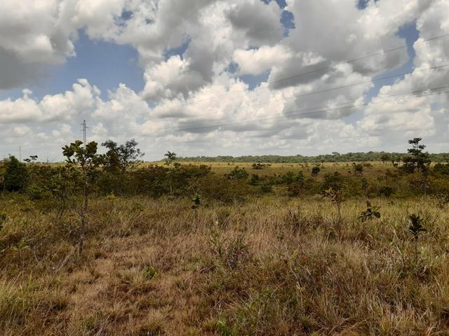 Vende-se área rural no amapá - Foto 3