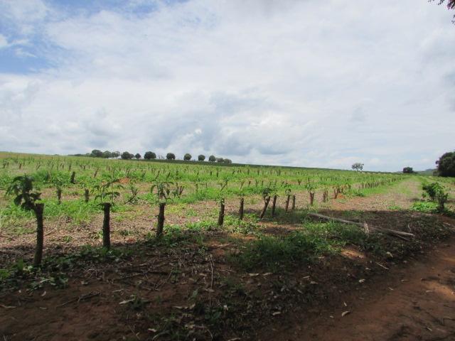 Fazenda para Venda em Alfenas, Rural - Foto 17