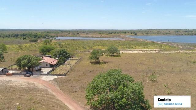 Fazenda no Tocantins - Foto 2