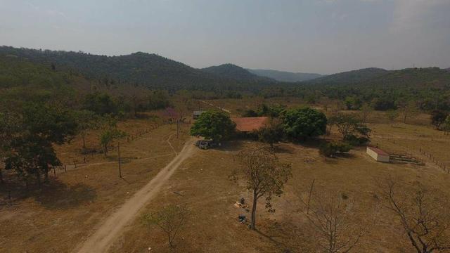 Fazenda região de São Vicente - Foto 5