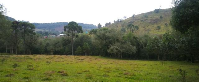 Chácara 3,0 Ha Campestre da Serra - Foto 10