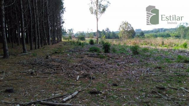 Chácara no campo largo da roseira, são josé dos pinhais - ar0020. - Foto 9