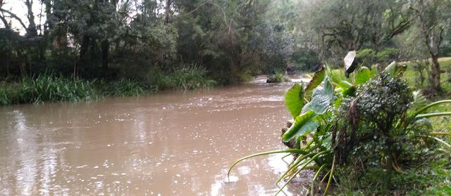 Chácara 3,0 Ha Campestre da Serra - Foto 3