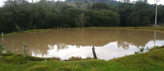 Chácara 3,0 Ha Campestre da Serra - Foto 11