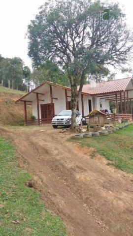 Chácara na colônia murici (são josé dos pinhais) - distrito. - Foto 5