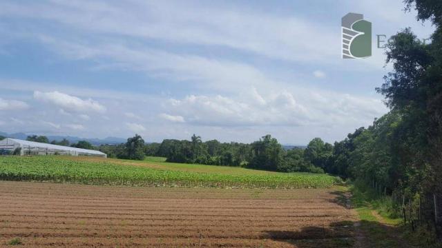 Terreno na colônia murici em são josé dos pinhais. - Foto 10