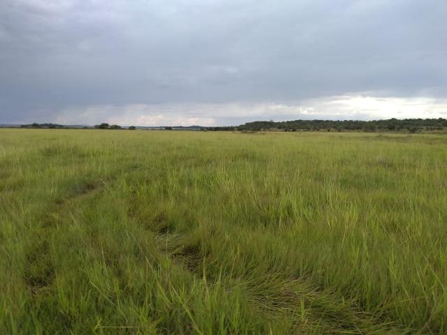 Excelente Fazenda de 1.955,79 Hectares em Formosa-GO - Foto 8