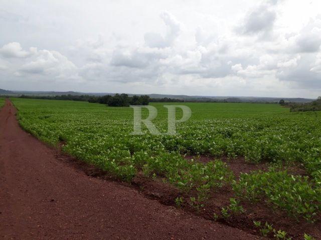 Fazenda 2006 Hectares em Tocantis - Foto 6