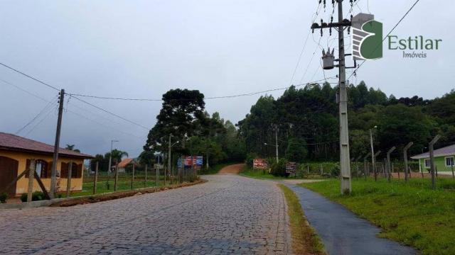 Terreno na colônia murici em são josé dos pinhais. - Foto 8