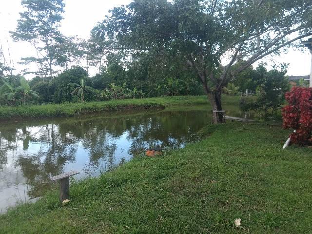Troco ou vendo chácara - Foto 9