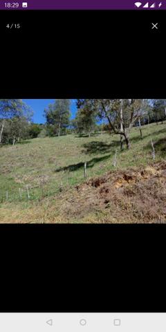 Vendo terreno a 7 kilomentro do centro de Santa Leopoldina fica e em Bragança - Foto 11