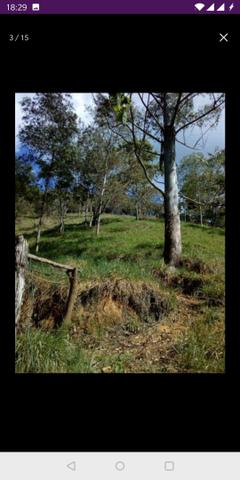 Vendo terreno a 7 kilomentro do centro de Santa Leopoldina fica e em Bragança - Foto 8