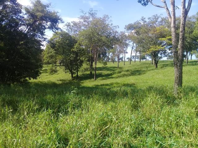 Chacara de 3 alqueires em bela vista 52 km de goiania - Foto 5
