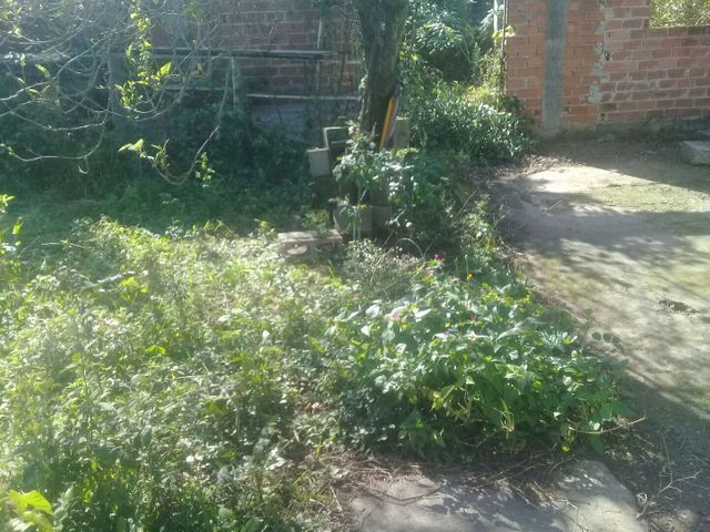 Limpeza de terreno roçada corte de grama - Foto 2