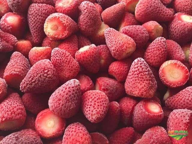 Morango Congelado Atacado / Varejo