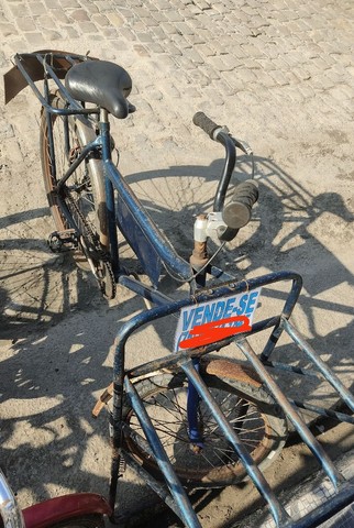 Bicicleta cargueira 