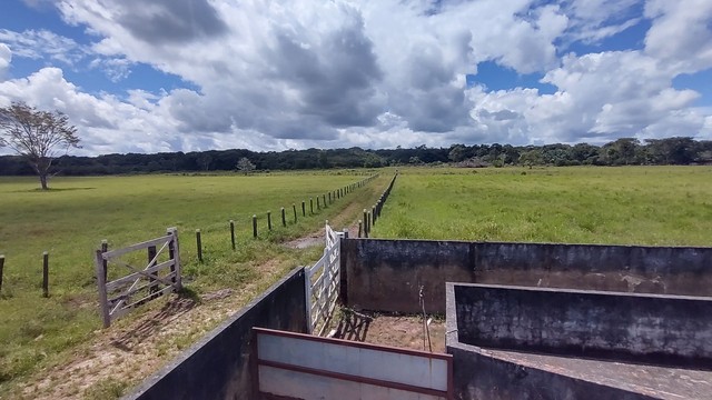 Fazenda - a 35 km da cidade de Santa Izabel Com 80 hectares por R$ 2.000.000,00 - Foto 17