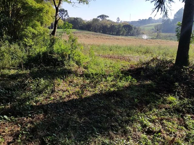 Sitio  da Eloisa - Foto 4