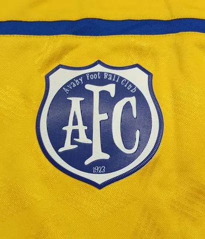 Camisa do Avai 2020 Umbro Terceiro uniforme Tamanho G zerada  - Foto 5