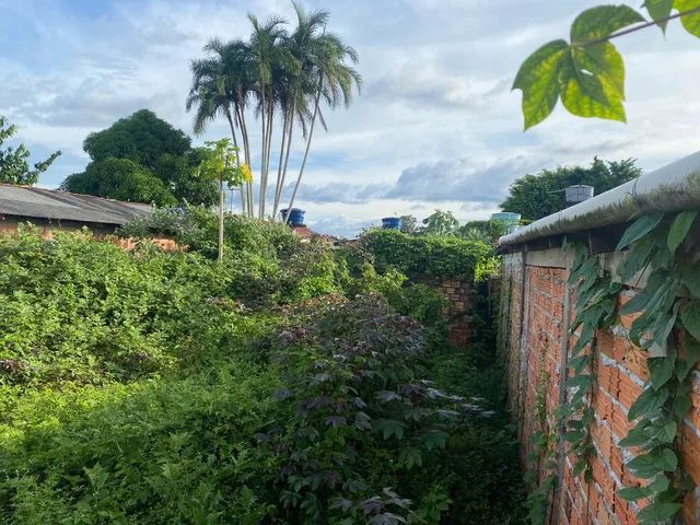 Barbada otimoLote à venda no Infraero 1 - Foto 3