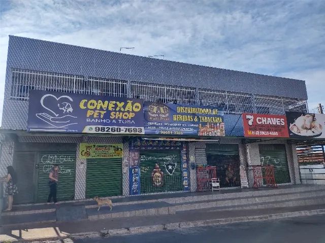 Onde Tem Pet Shop Próximo Novo Horizonte - Pet Shop Banho e Tosa