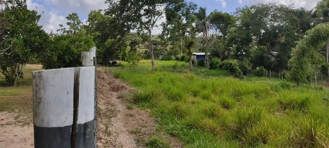 Sítio lindo em Araçás- Bahia  - Foto 3