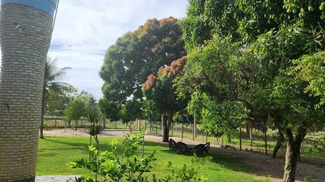 Alugo Granja na Lagoa do Bonfim - Foto 3