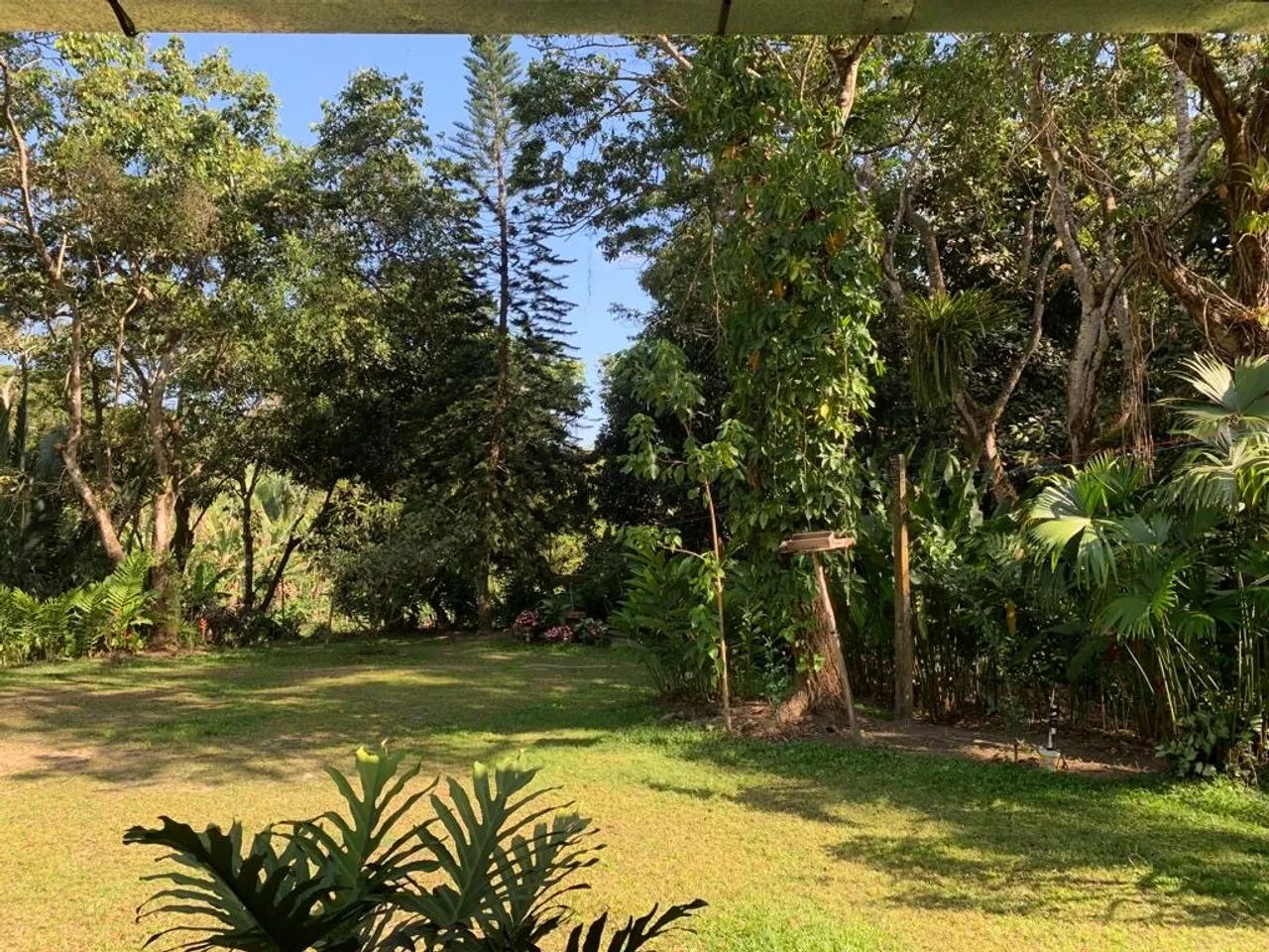 Sítio em Pacoti - Foto 3