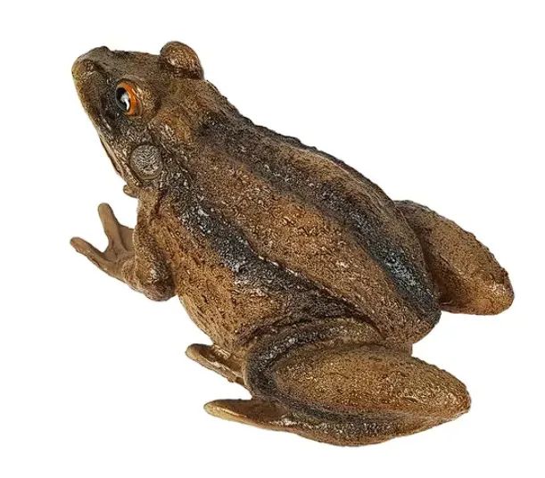 Sapo Realista Grande Escultura Em Resina Decoração De Jardim - Foto 3