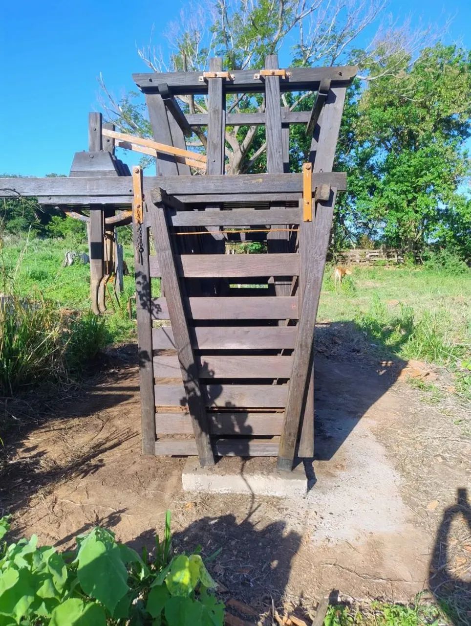 Vende ,um  barracão, uma casa e um tronco para pecuária . Oportunidade .  - Foto 3