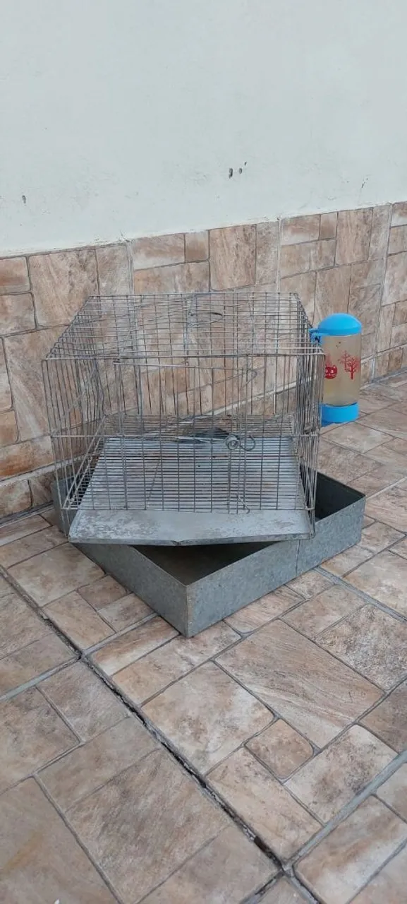 Gaiola para coelho e porquinho da Índia