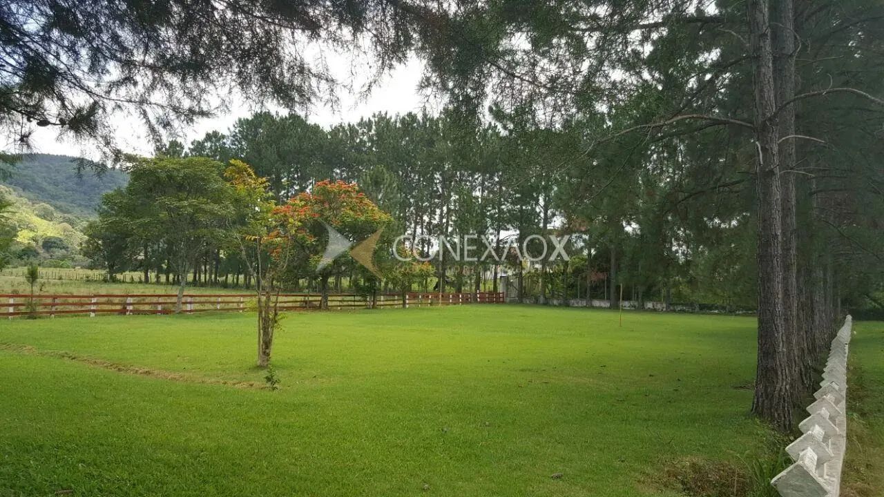 chácara - Chácara Fernão Dias - Vargem - Foto 3