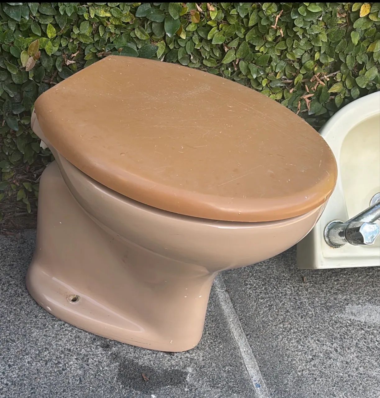 Vaso Celite 64872568786562120